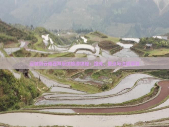 运城到云南西双版纳旅游攻略：路线、景点与注意事项