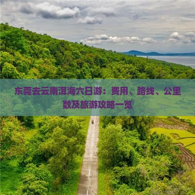 东莞去云南洱海六日游：费用、路线、公里数及旅游攻略一览