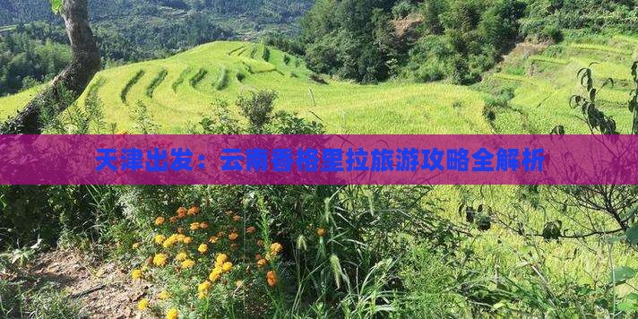 天津出发：云南香格里拉旅游攻略全解析