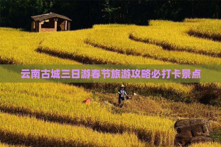 云南古城三日游春节旅游攻略必打卡景点