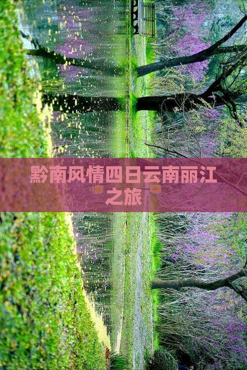 黔南风情四日云南丽江之旅