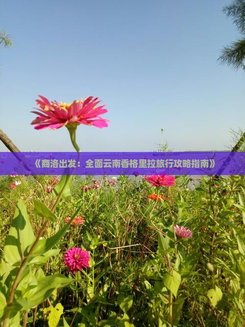 《商洛出发：全面云南香格里拉旅行攻略指南》