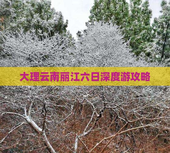 大理云南丽江六日深度游攻略