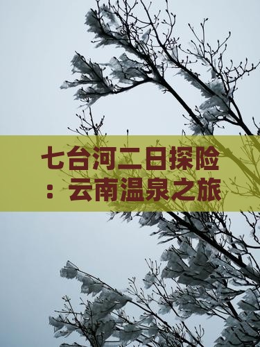 七台河二日探险：云南温泉之旅