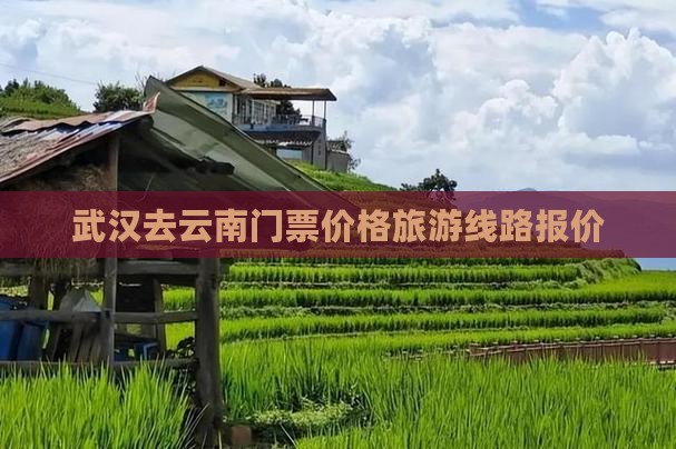 武汉去云南门票价格旅游线路报价