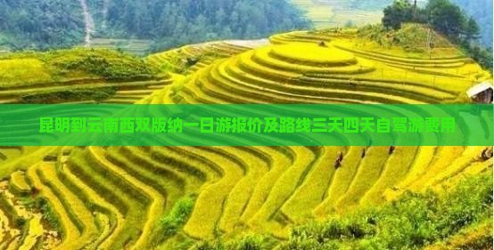 昆明到云南西双版纳一日游报价及路线三天四天自驾游费用