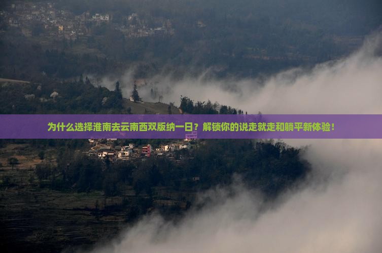 淮南去云南西双版纳一日
