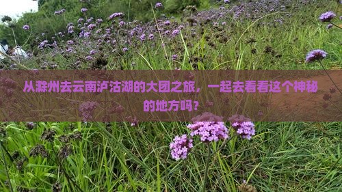 滁州到云南泸沽湖大型旅游团 滁州到云南泸沽湖大型旅游团
