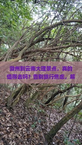 滁州到云南大理景点