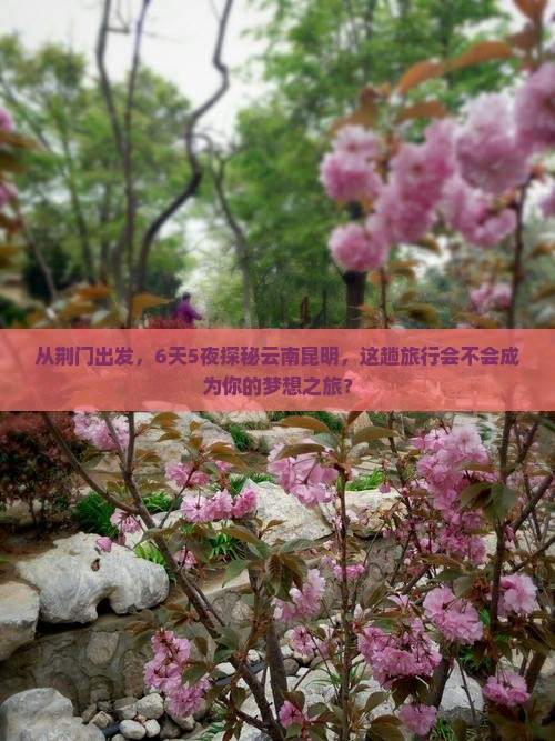 荆门去云南昆明六日游