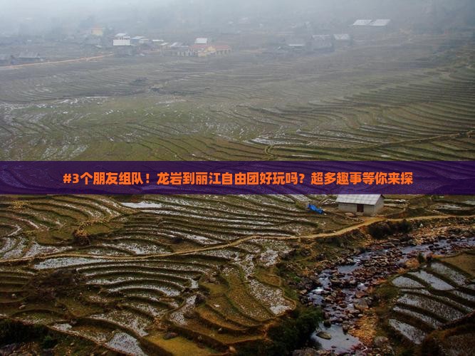 龙岩去云南丽江自由团