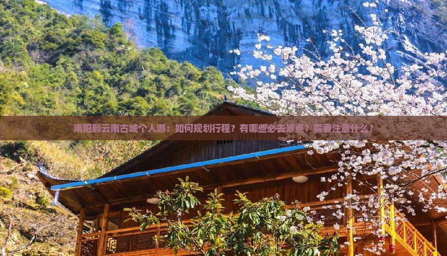 南阳到云南古城个人游
