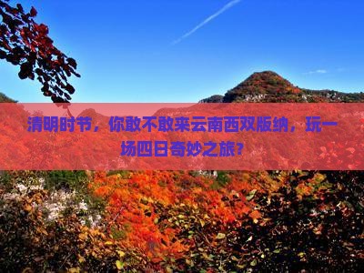 清明节去云南西双版纳四日游
