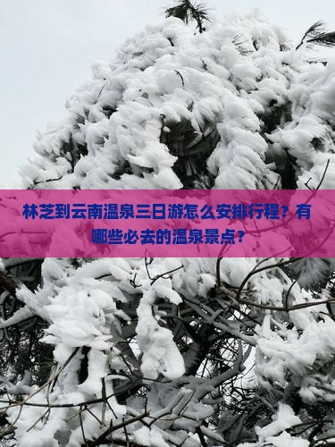 林芝到云南温泉三日游
