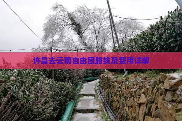 许昌去云南自由团