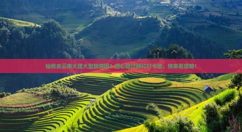 仙桃去云南大理大型旅游团