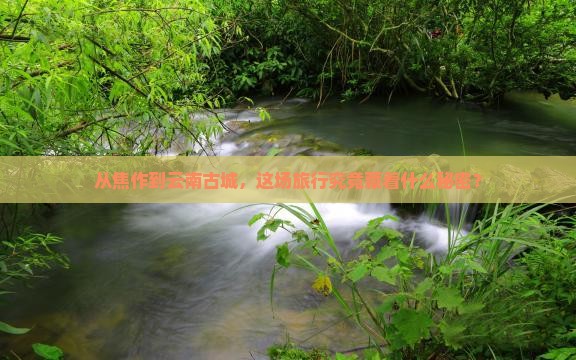 焦作去云南古城旅游