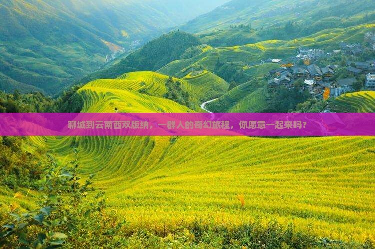 聊城去云南西双版纳团体旅游 聊城去云南西双版纳团体旅游