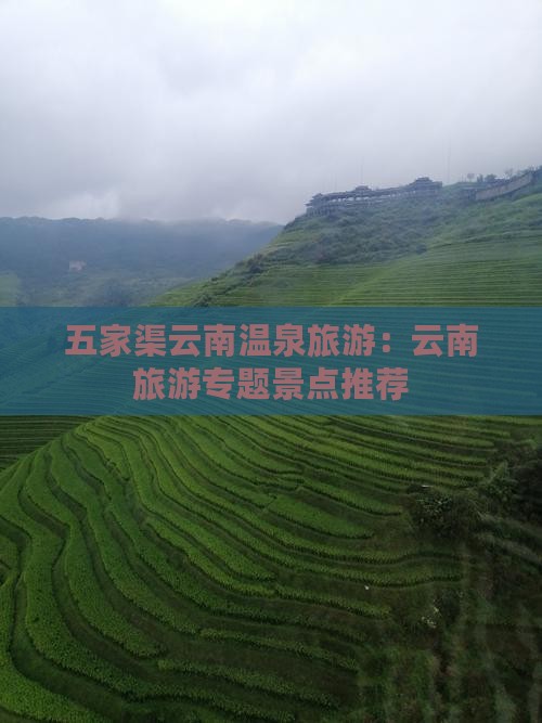五家渠去云南温泉旅游
