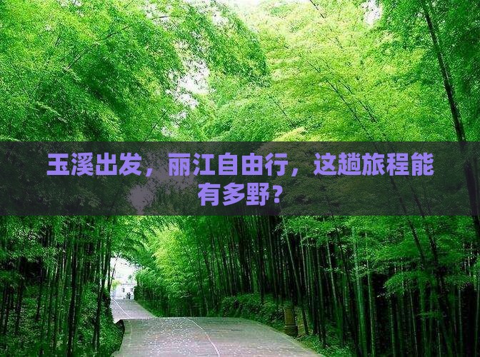 玉溪去云南丽江自由行
