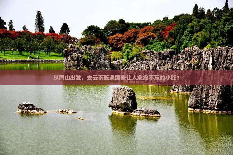 眉山去云南旅游小吃