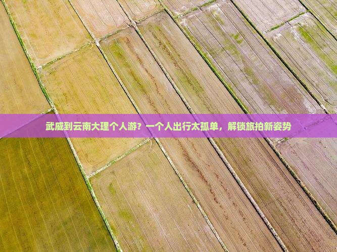 武威到云南大理个人游
