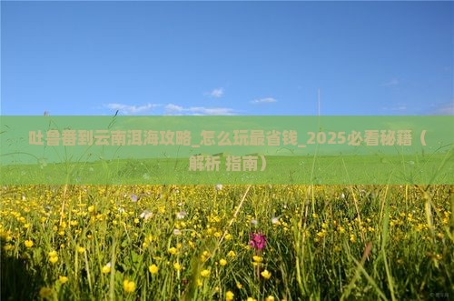 吐鲁番到云南洱海攻略
