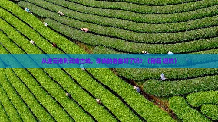 连云港到云南古城个人游