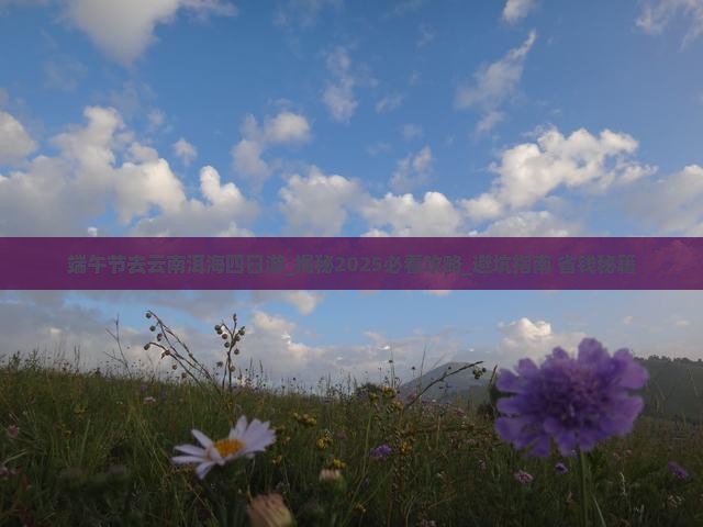 端午节去云南洱海四日游