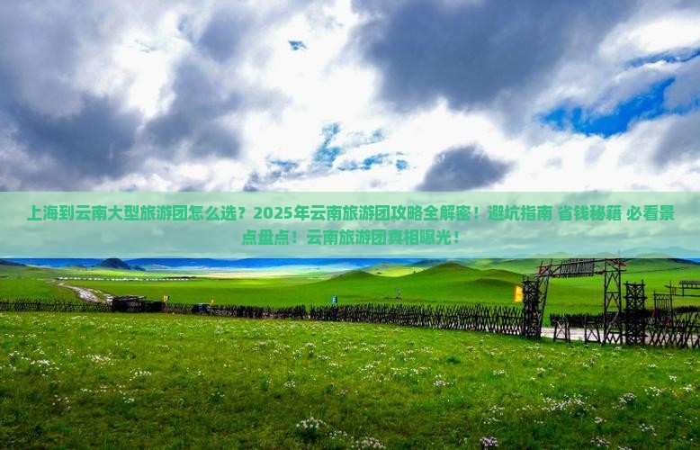 上海到云南大型旅游团