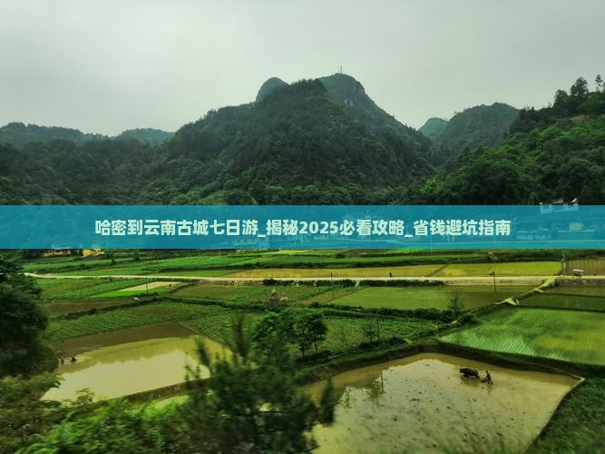 哈密到云南古城七日游