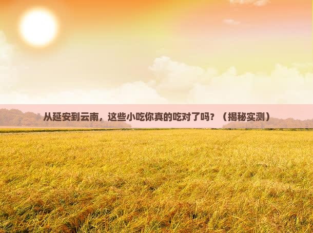 延安到云南旅游小吃