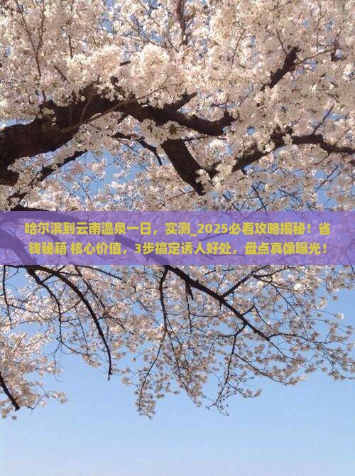 哈尔滨到云南温泉一日