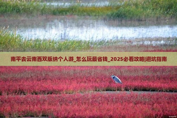 南平去云南西双版纳个人游