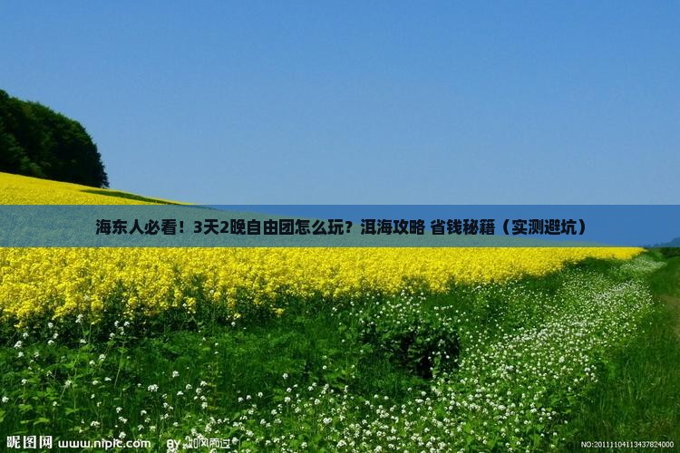 海东到云南洱海自由团