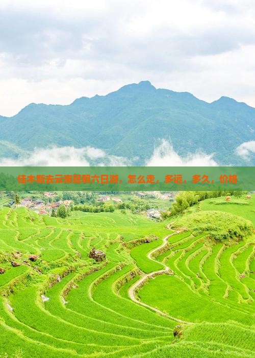 佳木斯去云南昆明六日游