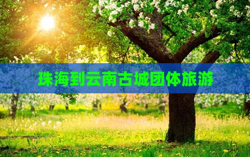 珠海到云南古城团体旅游