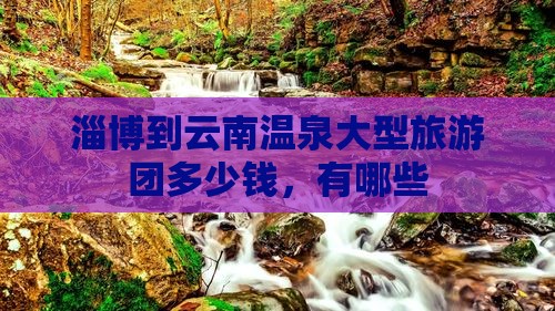 淄博到云南温泉大型旅游团