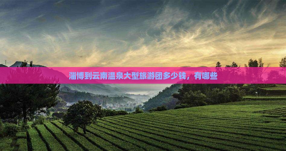 淄博到云南温泉大型旅游团