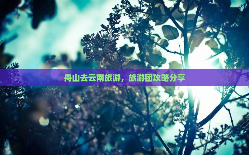 舟山去云南自由团