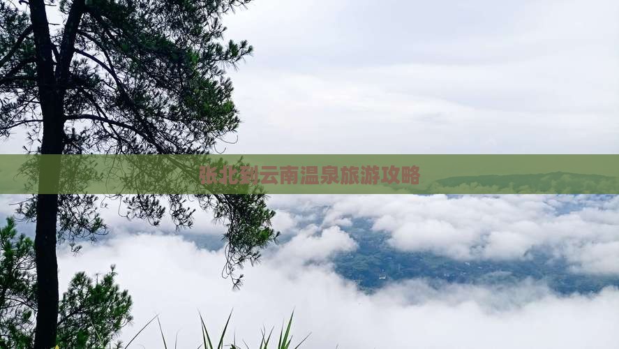 张北到云南温泉大型旅游团