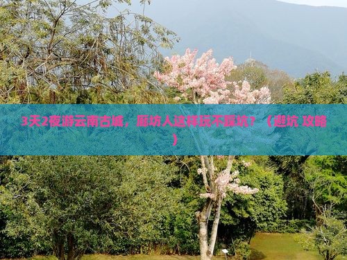 廊坊到云南古城旅行社