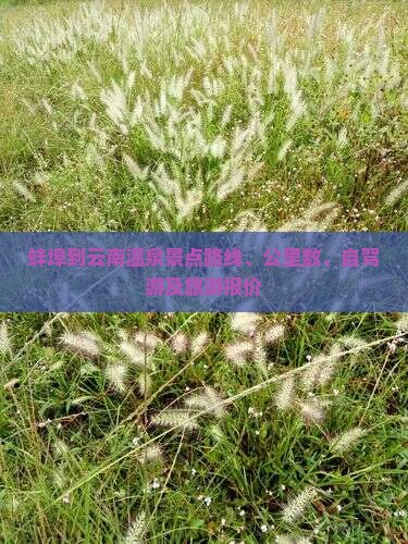 蚌埠到云南温泉景点