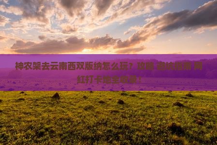 神农架去云南西双版纳哪里玩
