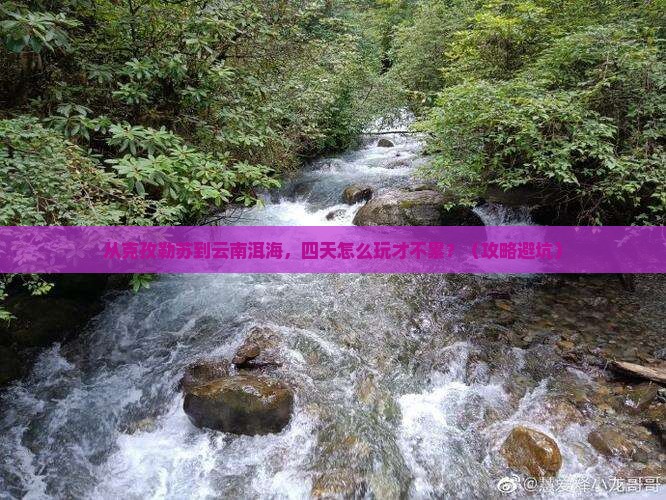 克孜勒苏去云南洱海四日游