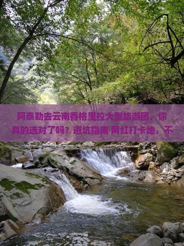 阿泰勒去云南香格里拉大型旅游团