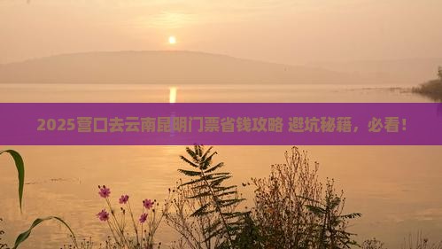 营口去云南昆明门票