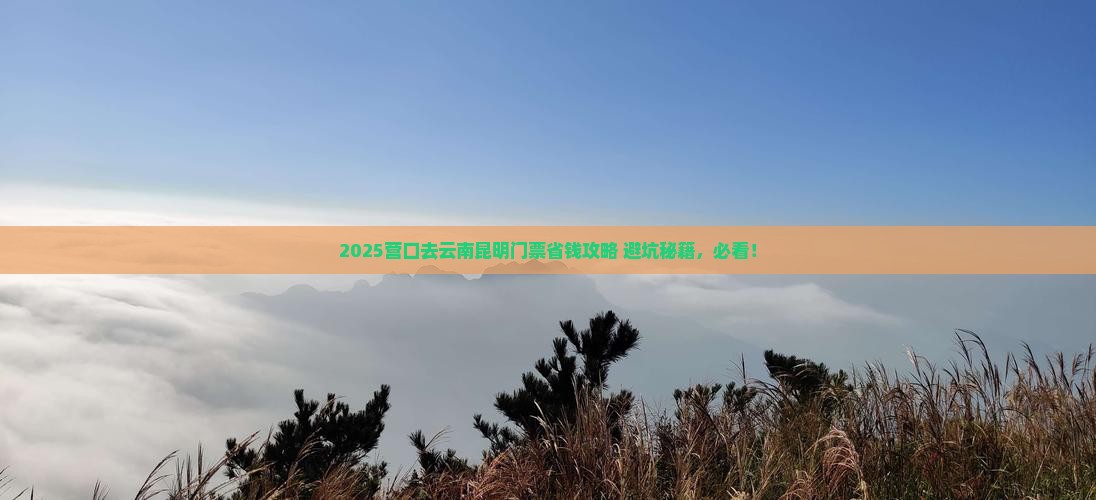 营口去云南昆明门票