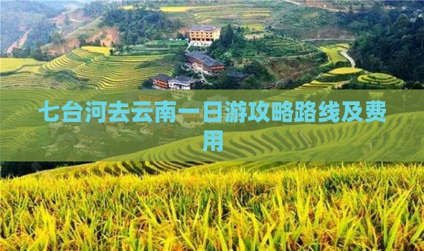 七台河去云南一日