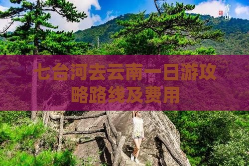 七台河去云南一日